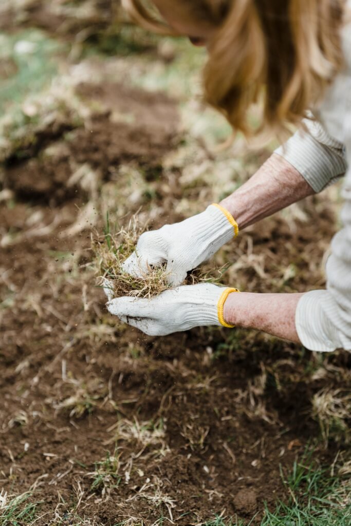 mulch & stone