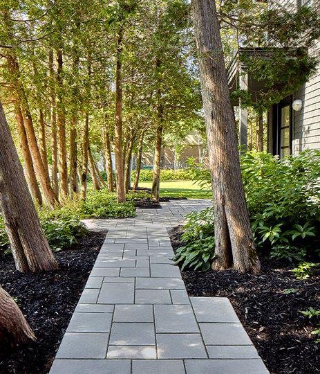 Tree Installations